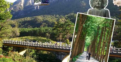 ⛩️ 우타스 신사